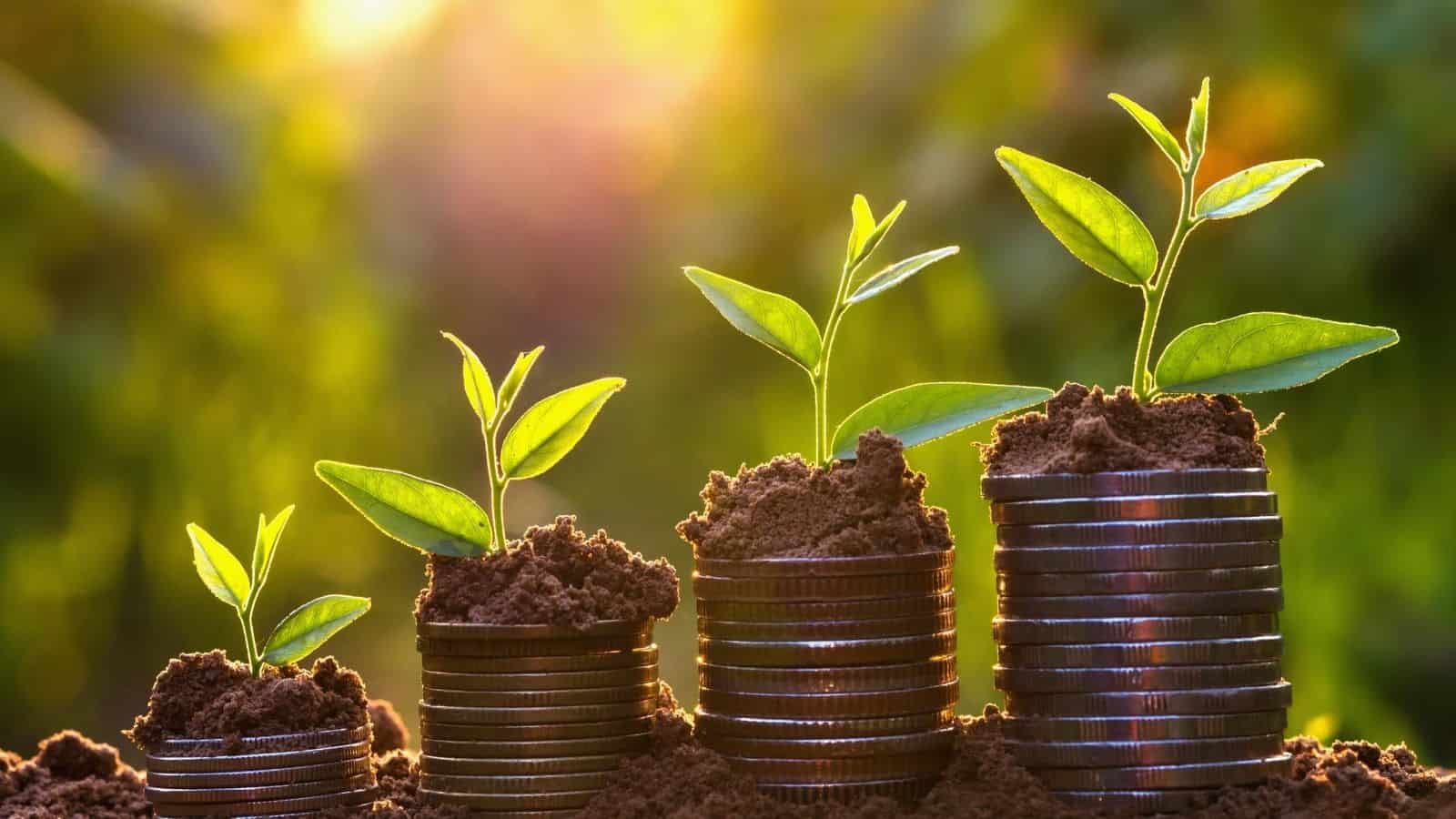 7 Ways Your Spiritual Business Can Grow in a more healthy and spiritual way Spiritual Marketing Club