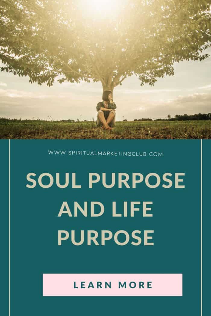Living Your Purpose - Life Purpose, Soul Purpose and Soul Mission