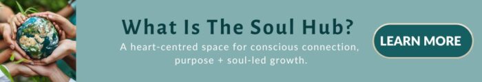 what is the soul hub a heart centred hub for conscious connection purpose and soul led growth