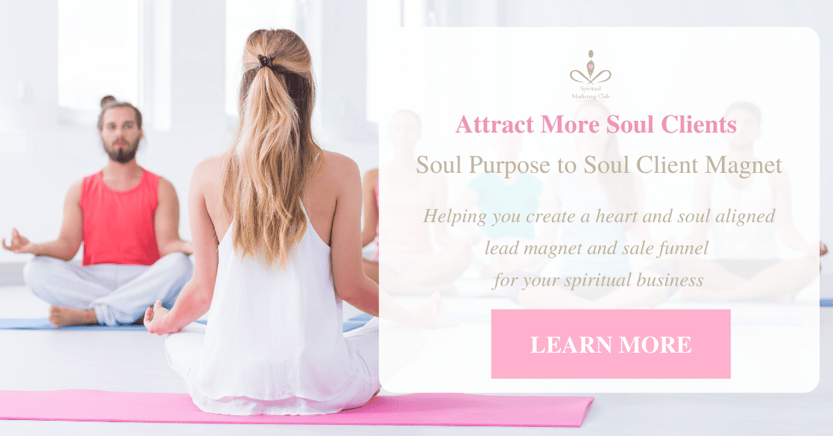 soul purpose to soul client magnet 3